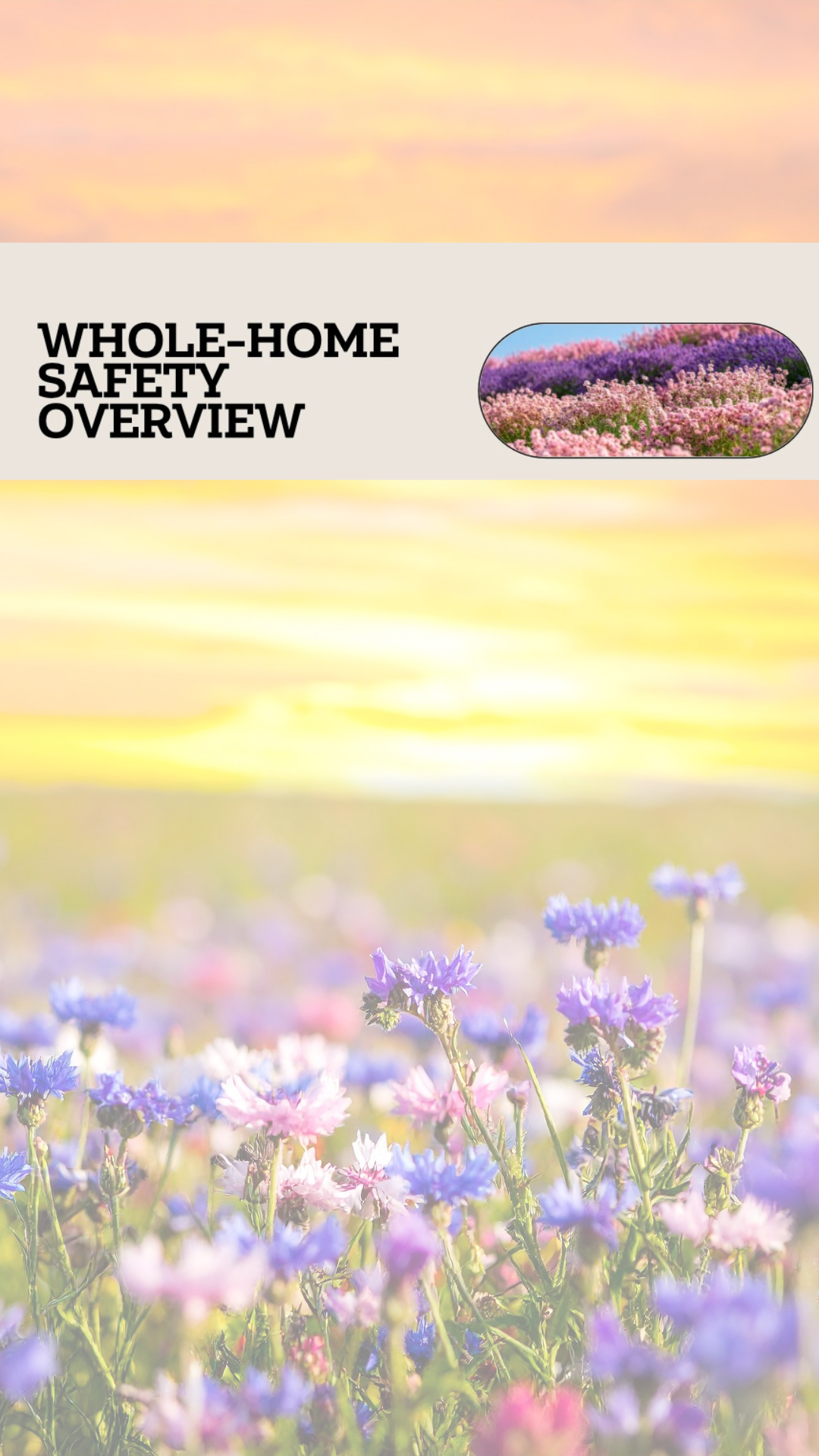 Untitled design (18).png