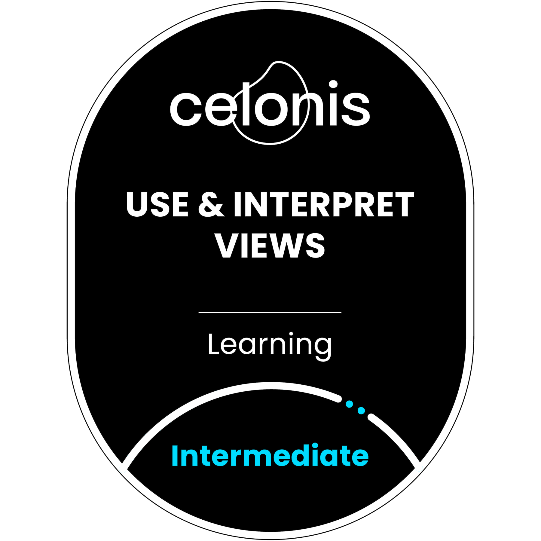 Celonis Certified Use and Interpret Views