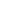 The Swift Brief