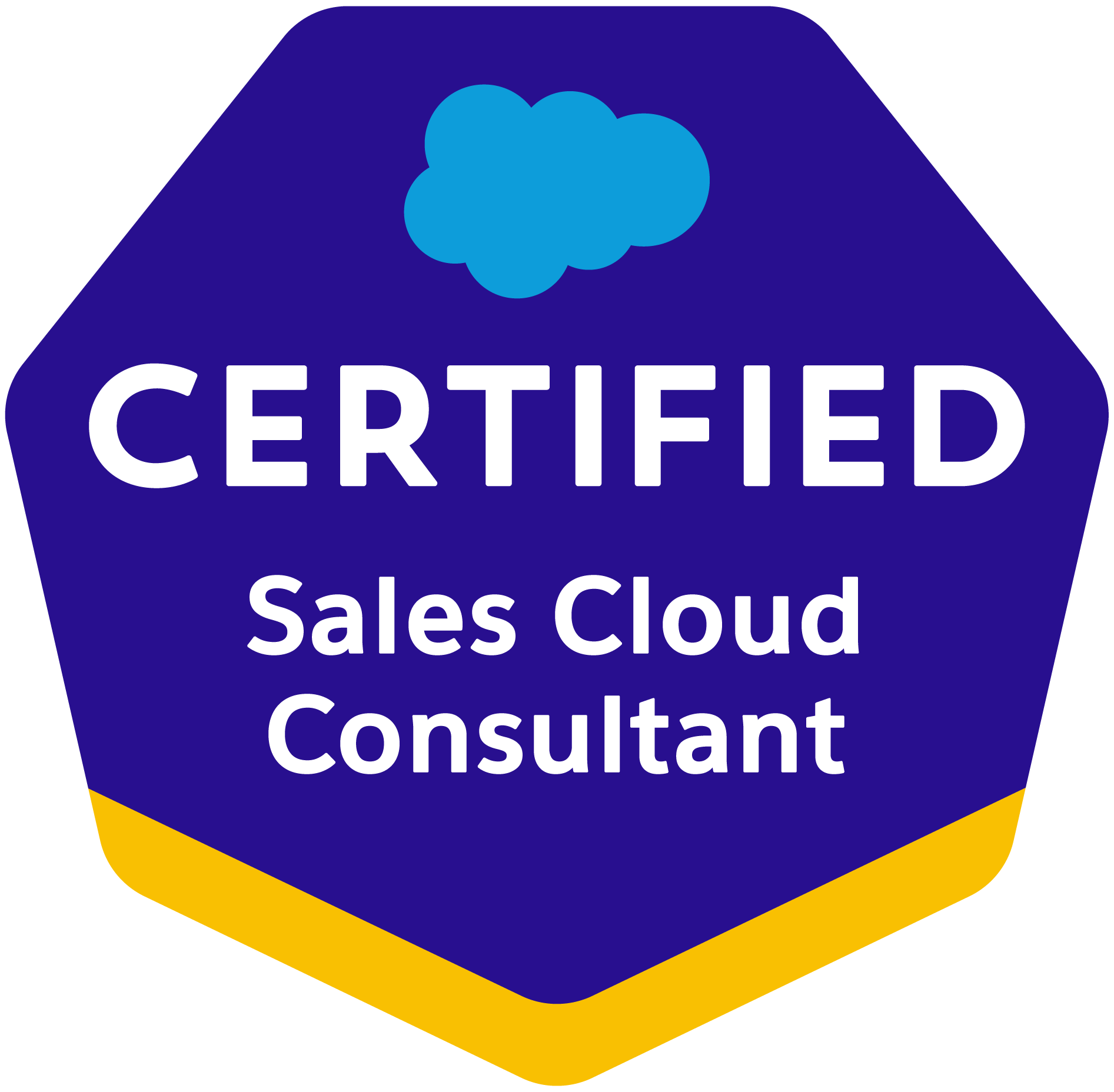 Salesforce official Sales Cloud Consultant