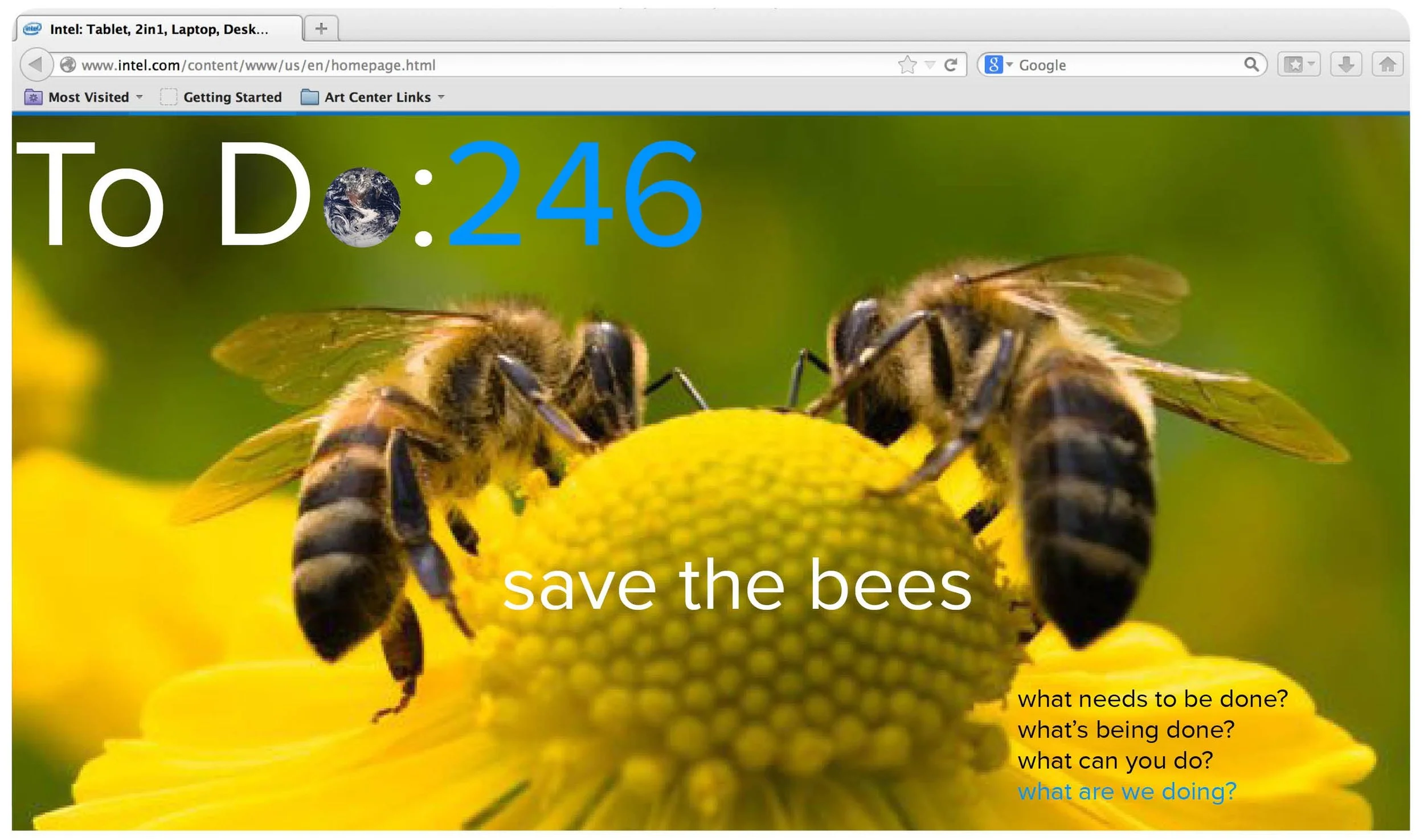 intel for site bees crop.jpg