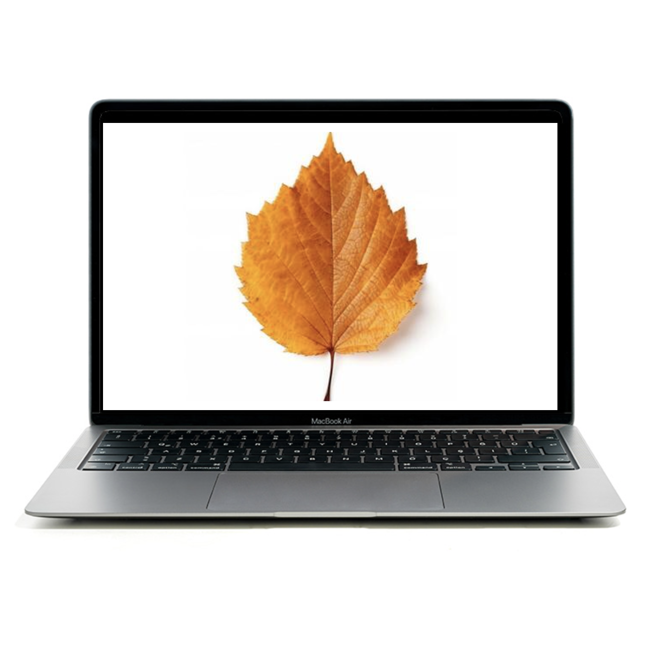 Coming soon. Fall Online Classes.