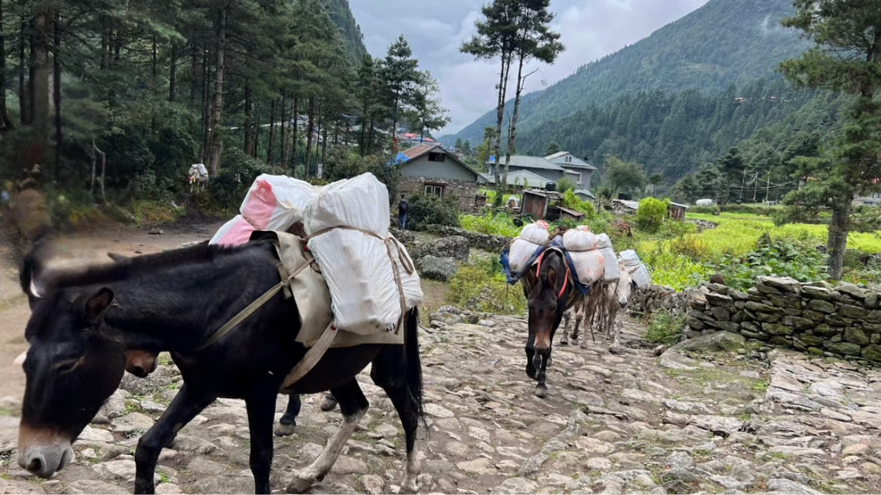 You Can Only Control Your Response