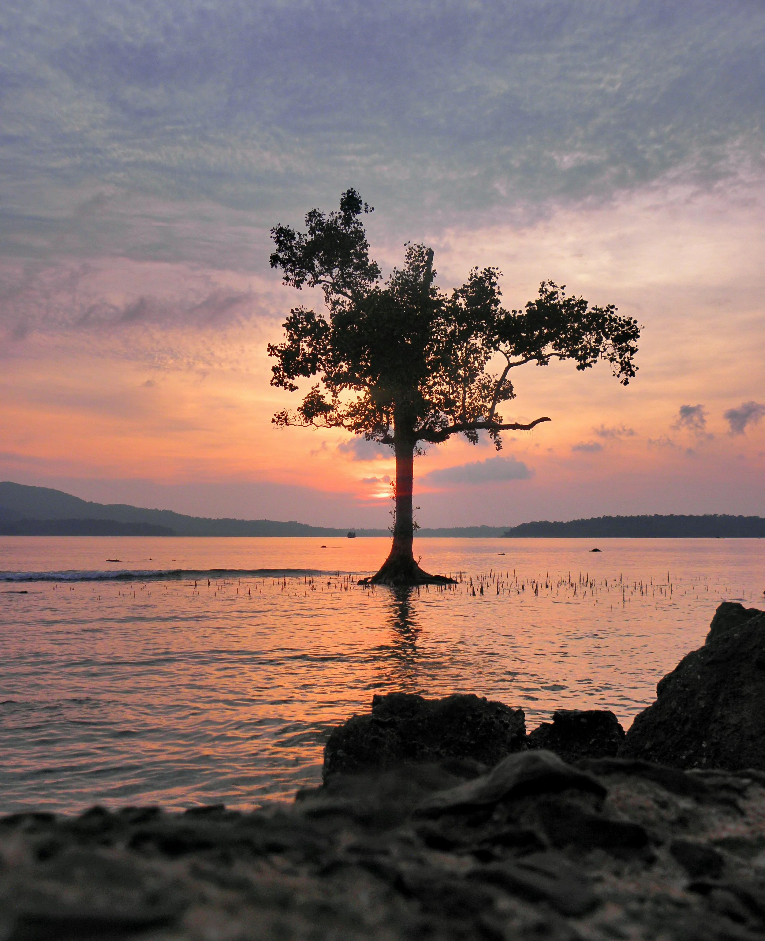 Our Dreams are Universal