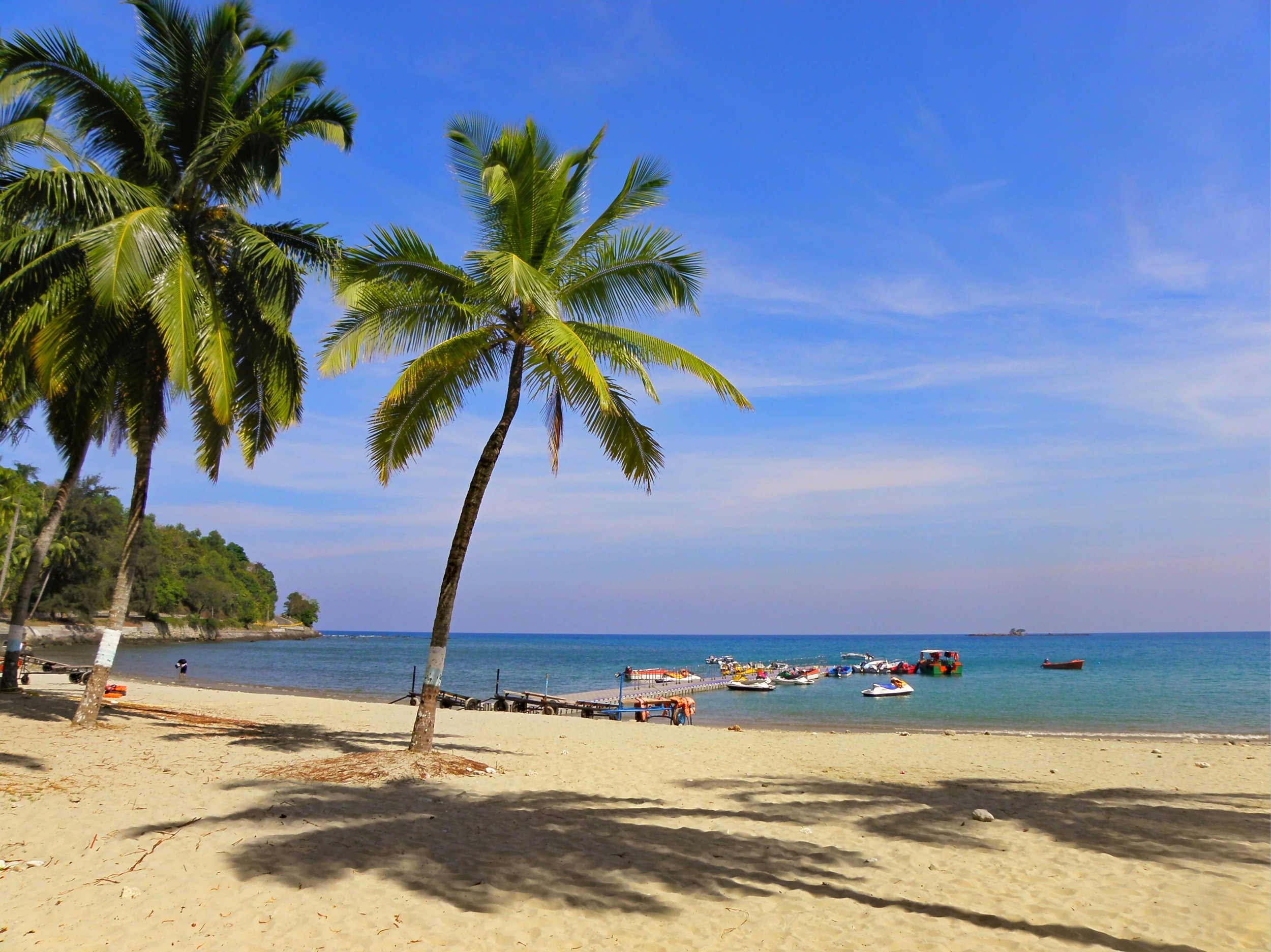 beach with palm trees and a small marina of tiny boats
