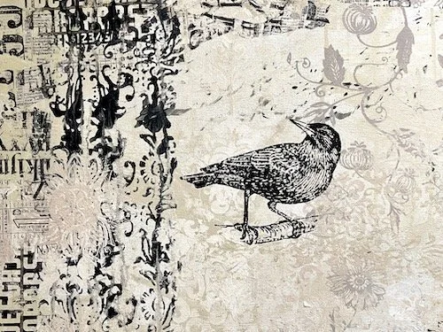 TD - bird.jpeg