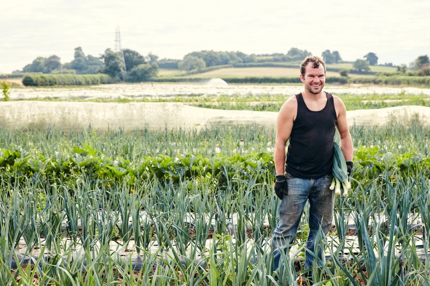 Leek farmer in field compressed.jpg
