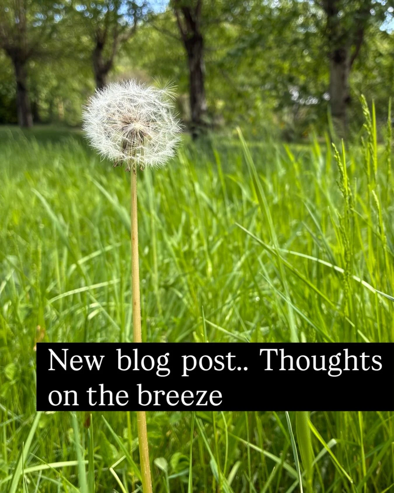 &ldquo;Is this a female thing? Of being a mother? Or is it the general pressures of life to be something or to excel? Or perhaps this is just me, thoughts rolling through me today, like thoughts on the breeze&rdquo; Blog post link in bio / available 