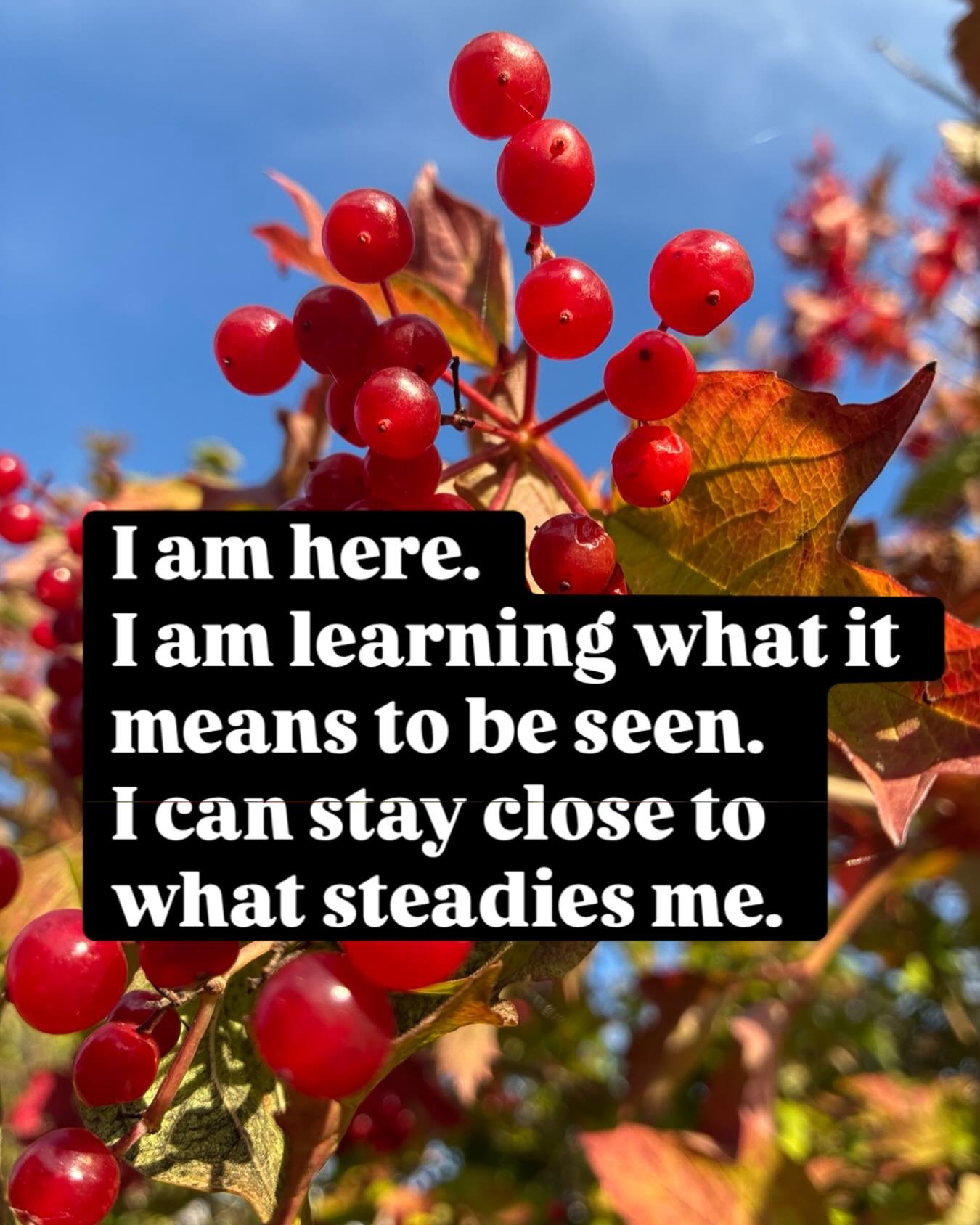 A journey of learning, unlearning and returning to self.

For seasons of change, grief and becoming. 

Between Wings
Holding space for what is unfolding.