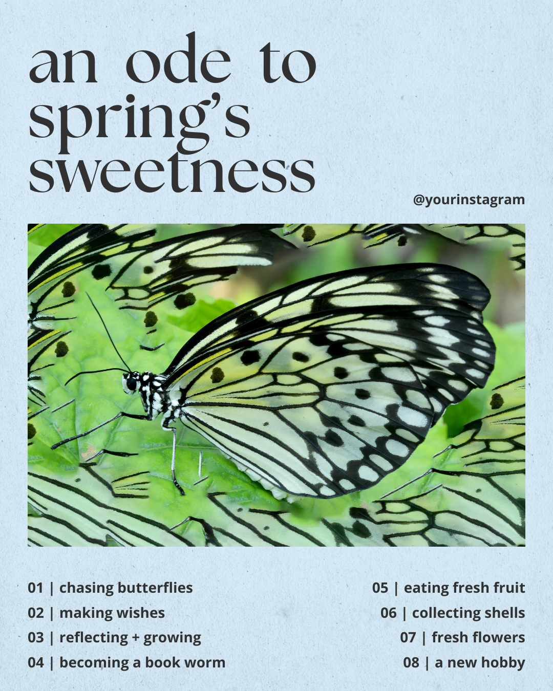 An Ode to Spring's Sweetness