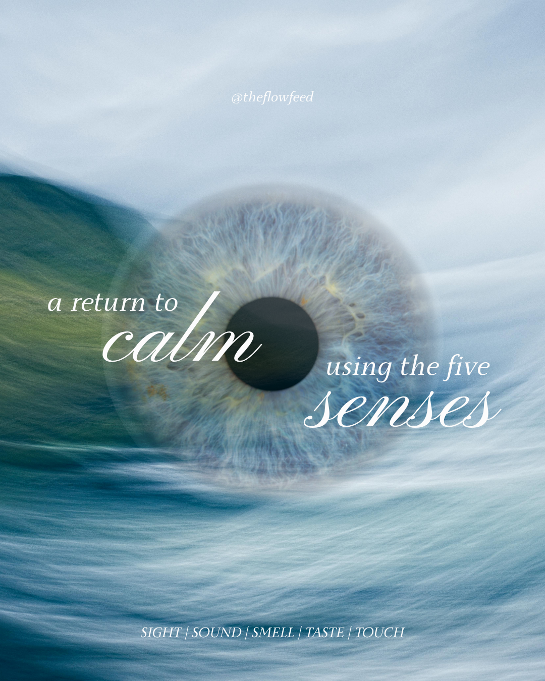 A Return to Calm (5 Senses)