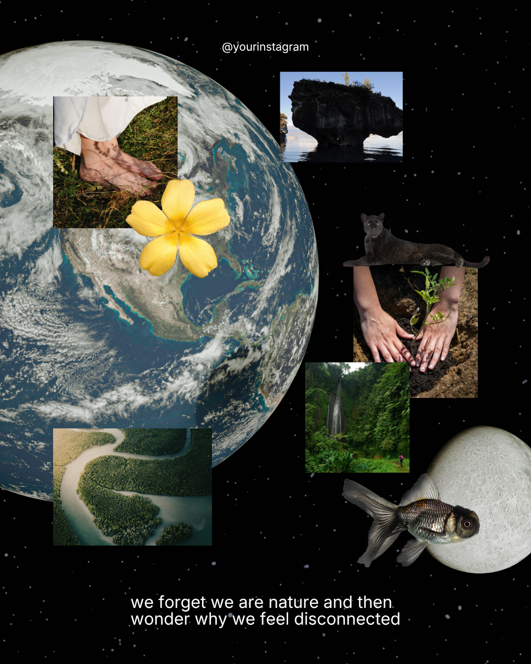 NatureUniverse Template (2).png