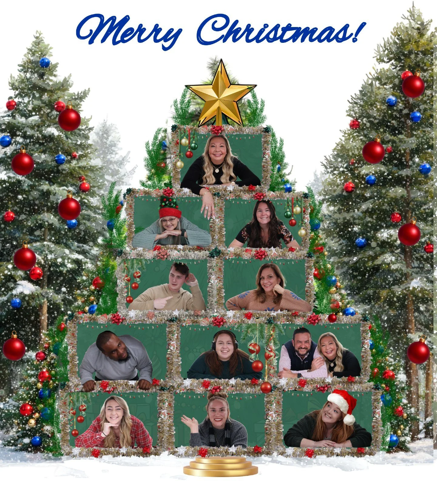 Out of all the trees in the forest, we&rsquo;d choose this one every time. 🎄💙

Wishing you a Merry Christmas from our little (but mighty) tree to yours. ✨