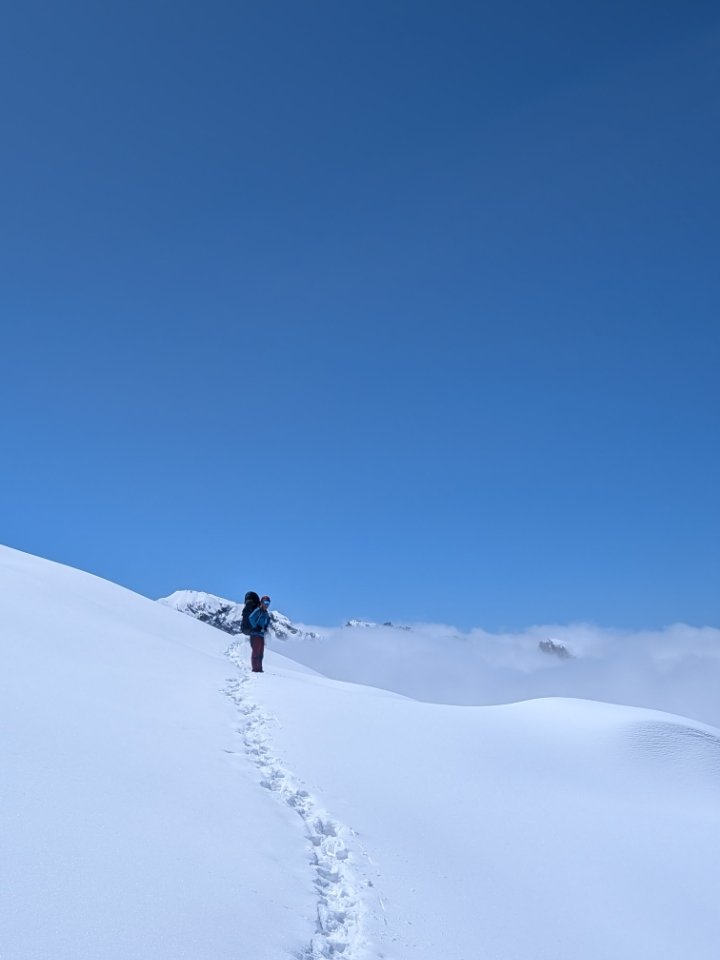 Gallery_1780084424423.jpg