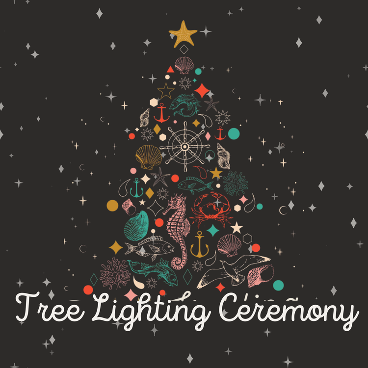 Edmonds Tree Lighting Ceremony