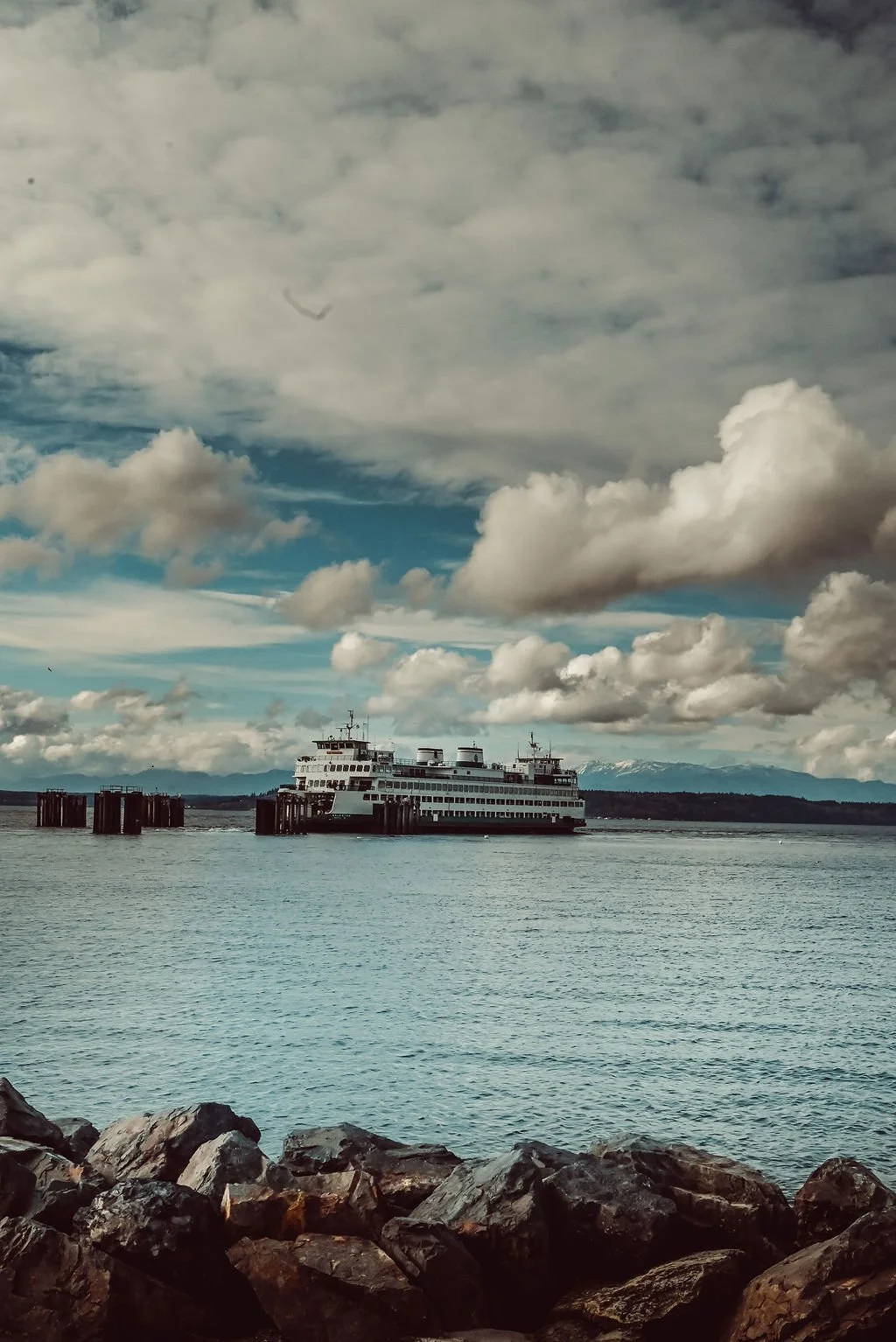 Enjoy The Big Roar (And More) in Edmonds