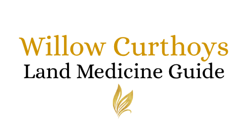 Willow Curthoys: Land Medicine Guide