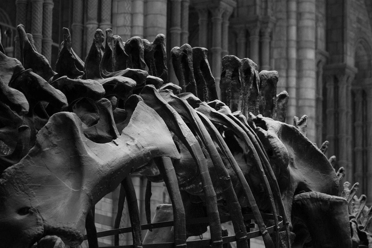 The History of the Gray Man Concept - Where Did It Come From?