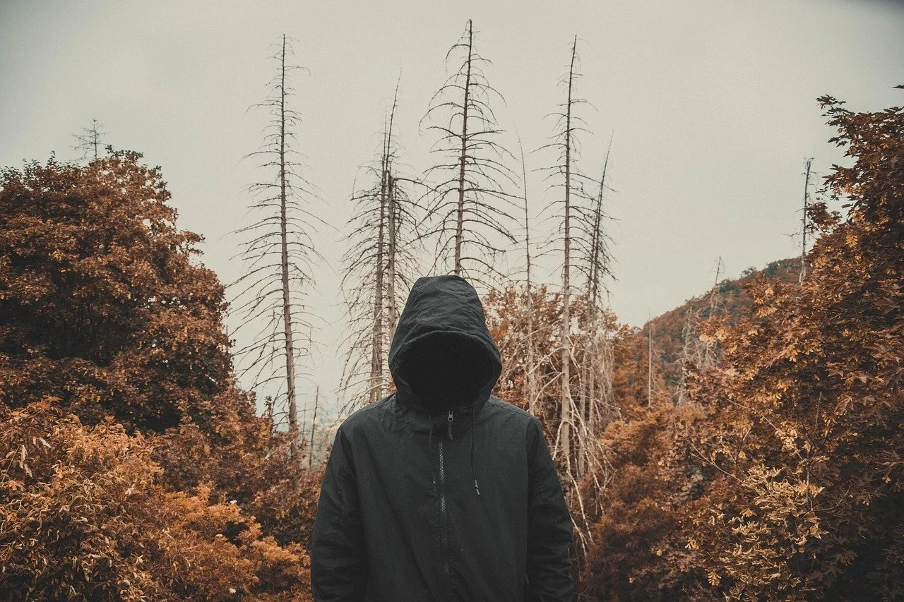 How to Stay Anonymous Online: A Beginner’s Guide to Digital Privacy
