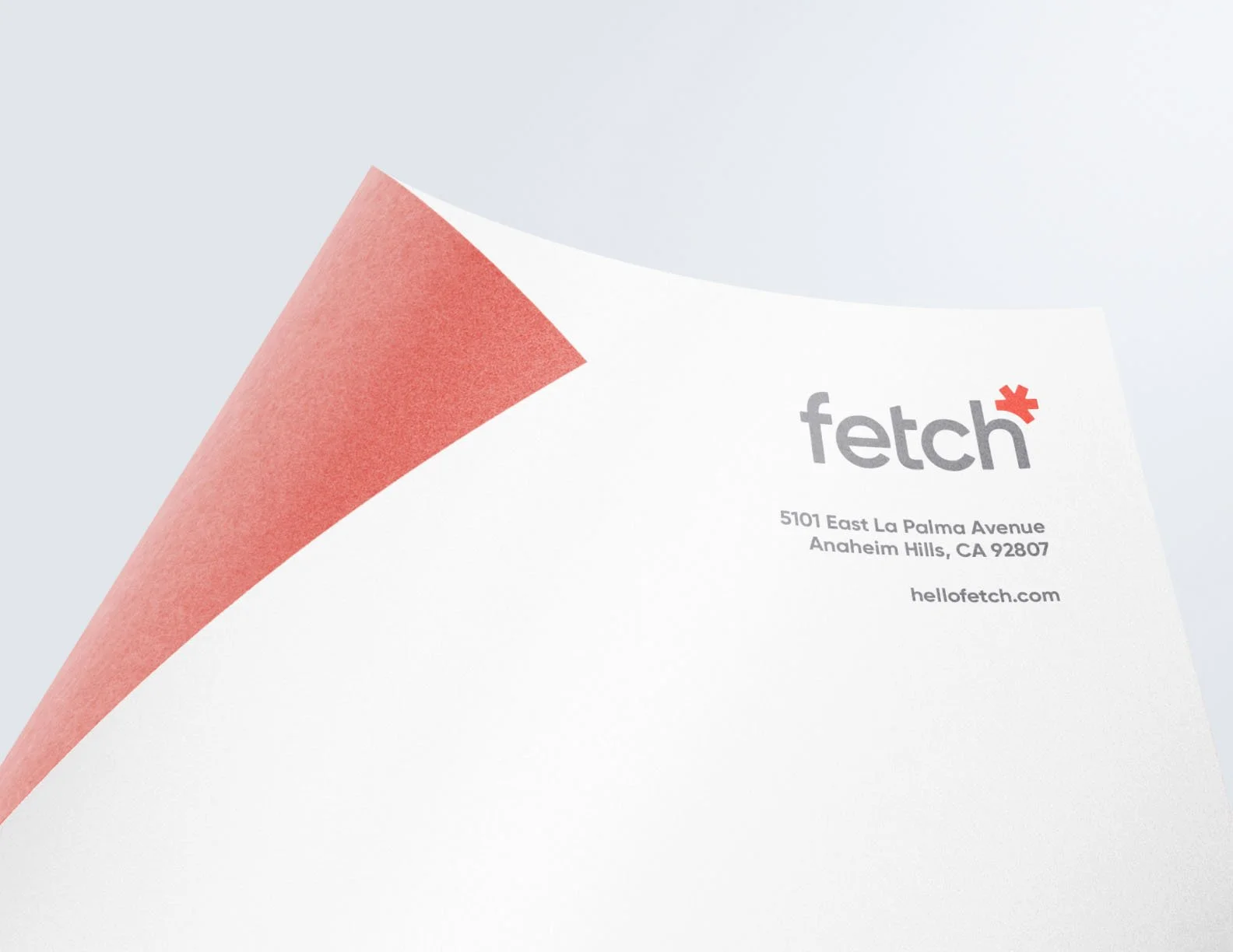 Close-up of a printed business card for Fetch, with a pink corner overlay, displaying address and website information.