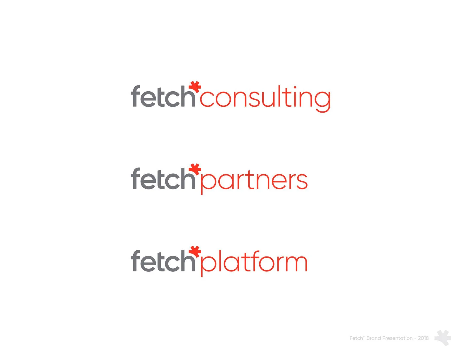 A presentation slide with the words 'fetch consulting', 'fetch partners', and 'fetch platform', each with a red asterisk over the 't', on a white background, dated 2018.