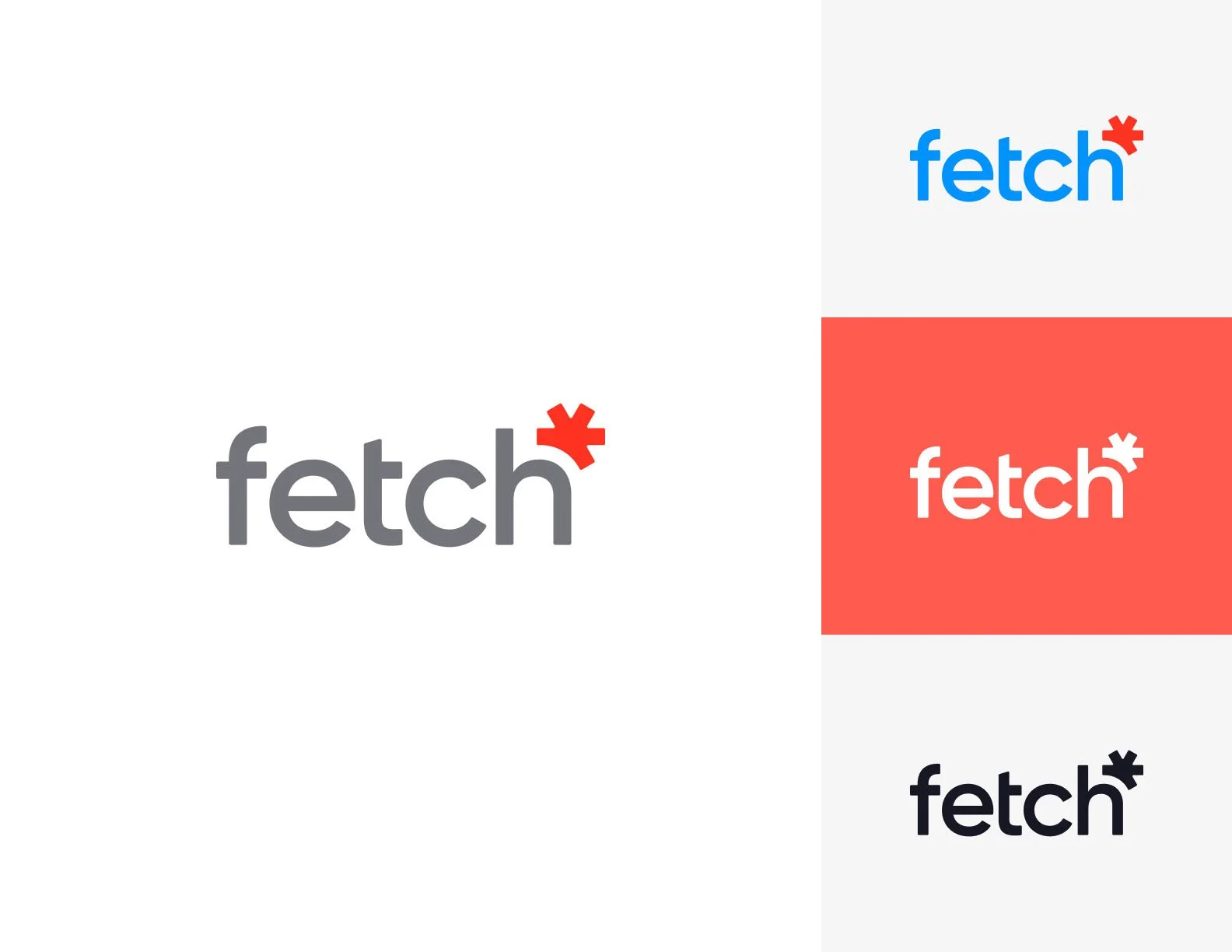 Multiple versions of the logo for 'fetch' in different colors and styles.