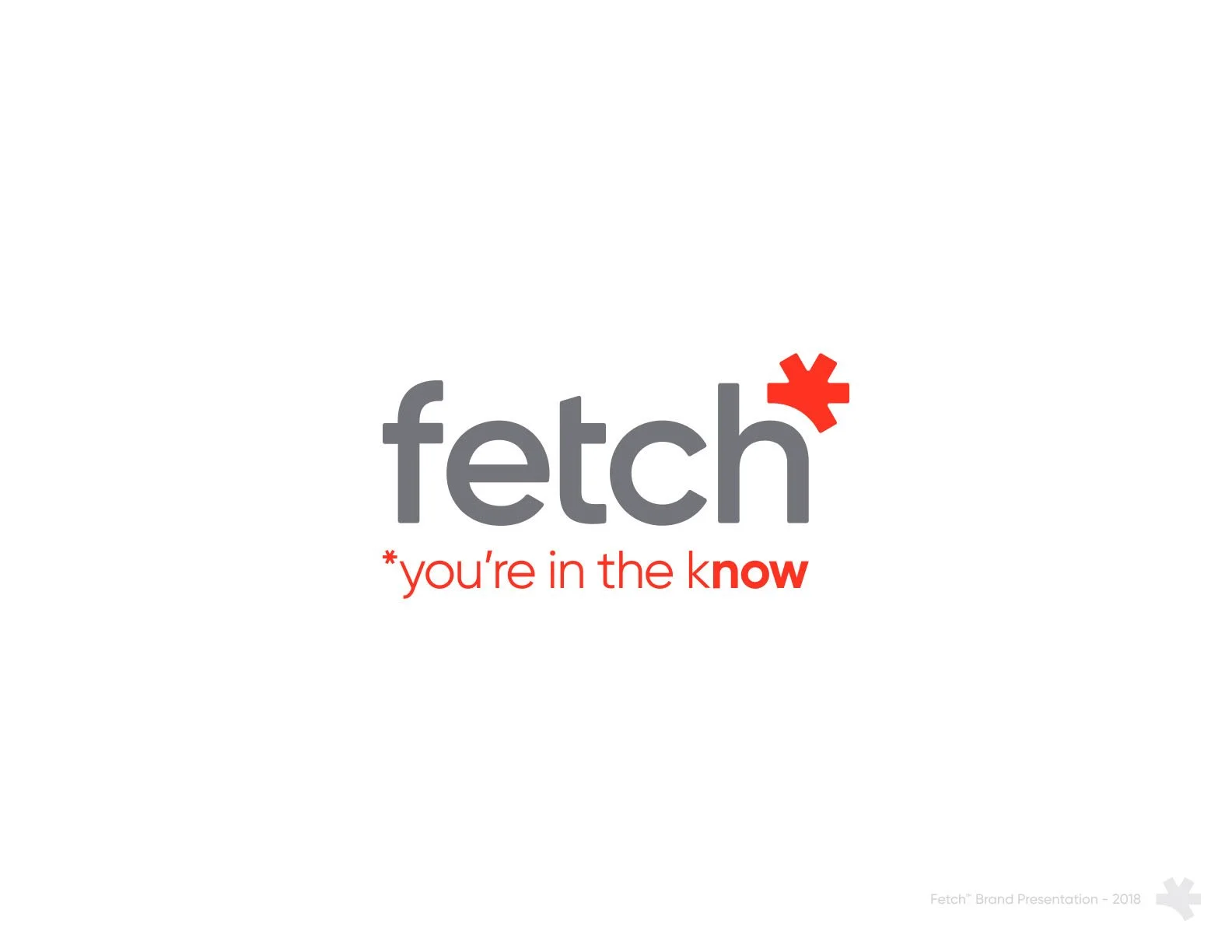 Fetch logo with the slogan 'you're in the know' in red below the word 'fetch'