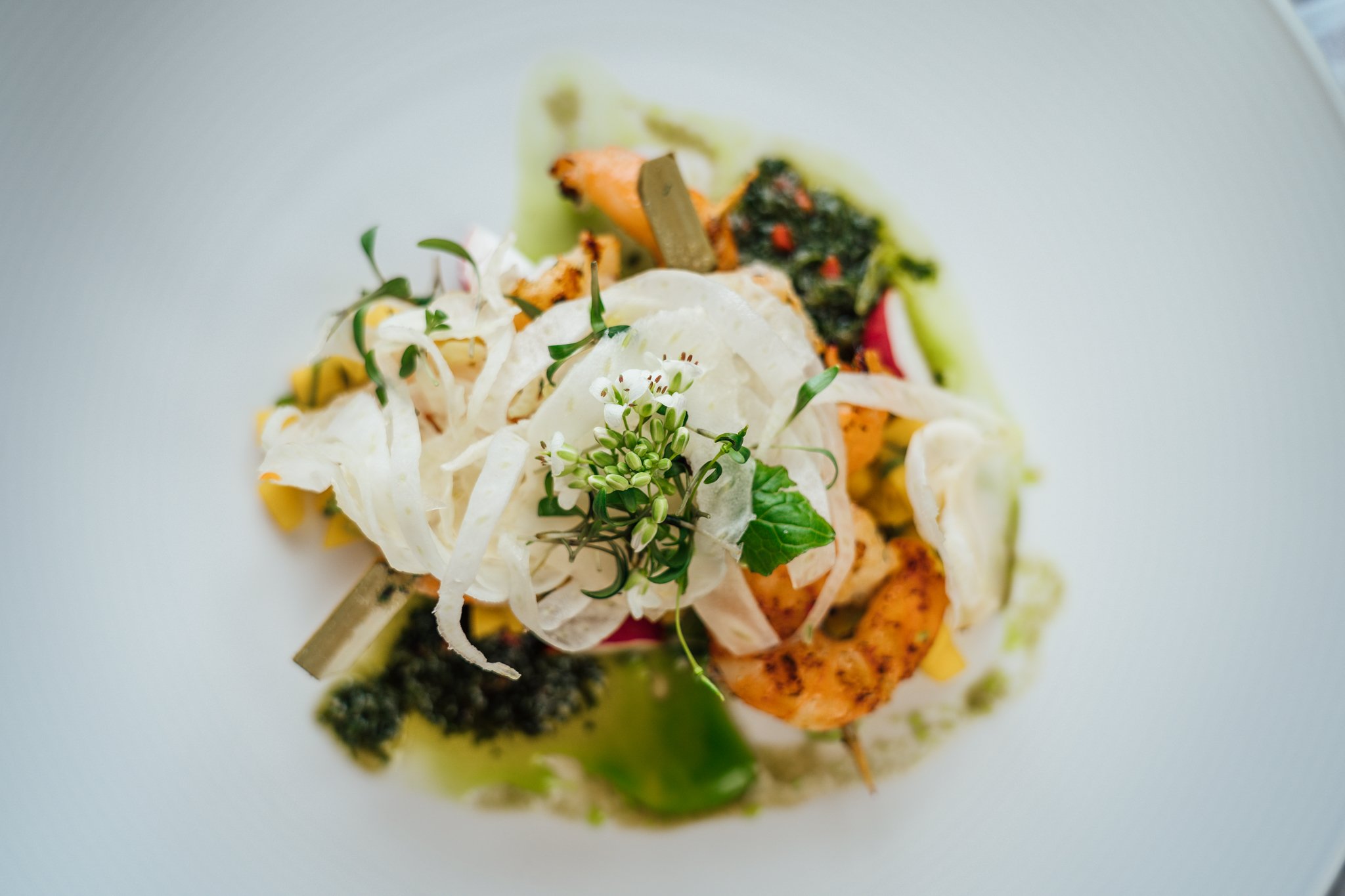 A gourmet seafood dish with grilled shrimp, fresh herbs, shredded cabbage, microgreens, and various vegetables on a white plate.