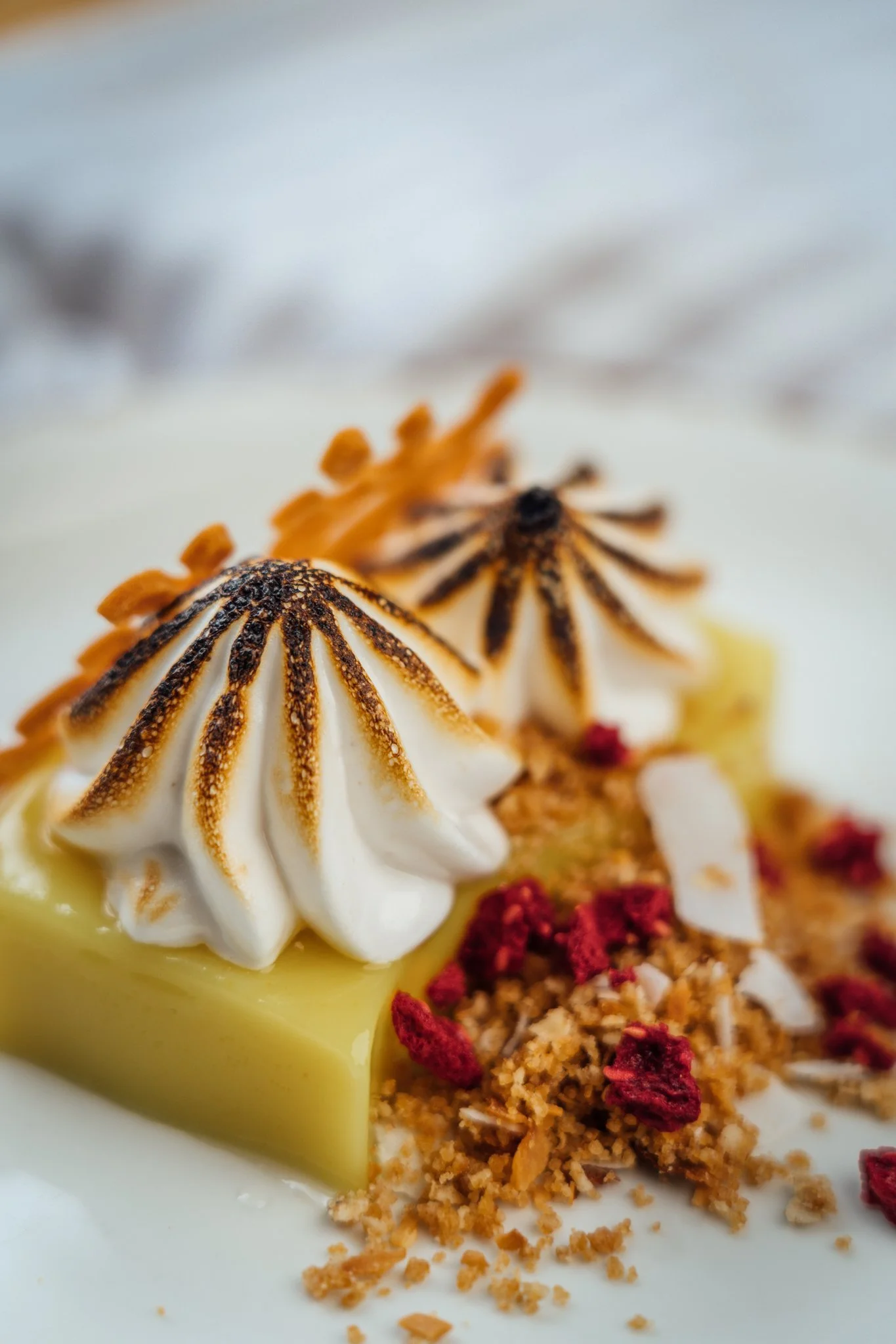 Close-up of a plated dessert with toasted meringue, crumbled cookies, and dried berries.