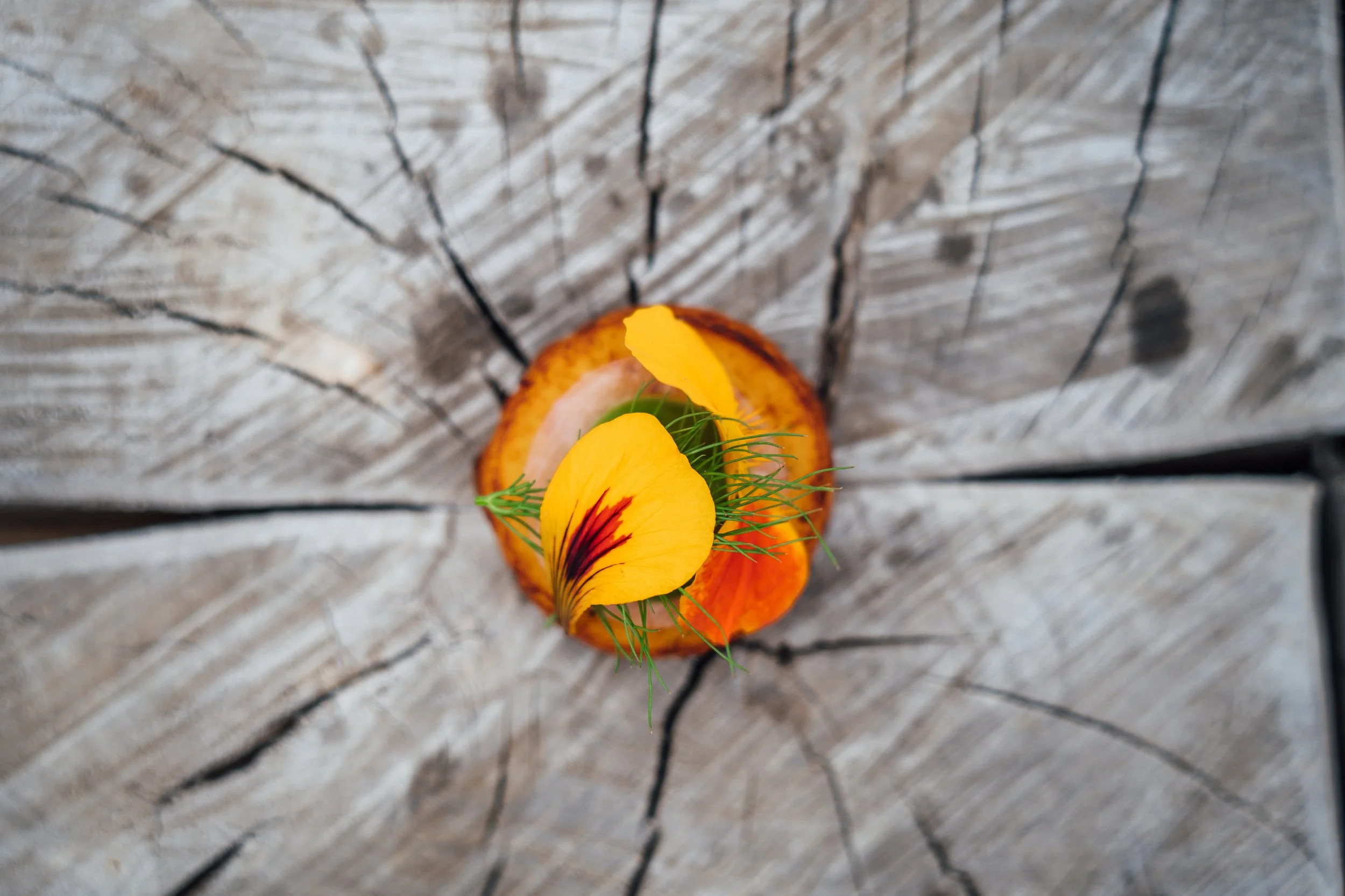 A single yellow flower with red streaks and green leaves resting inside a lit candle holder on a rustic wooden surface.