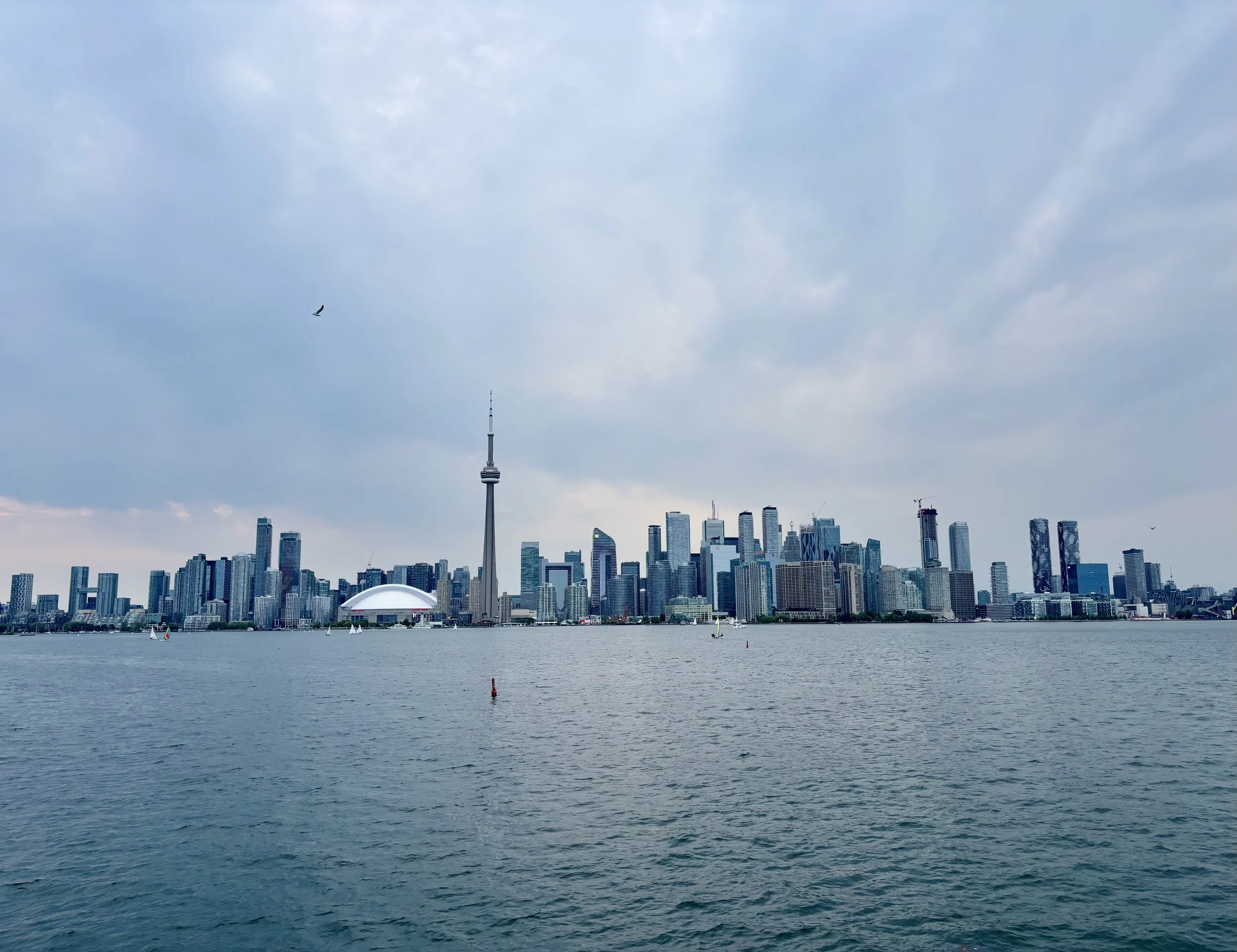 IMG_5572.jpg