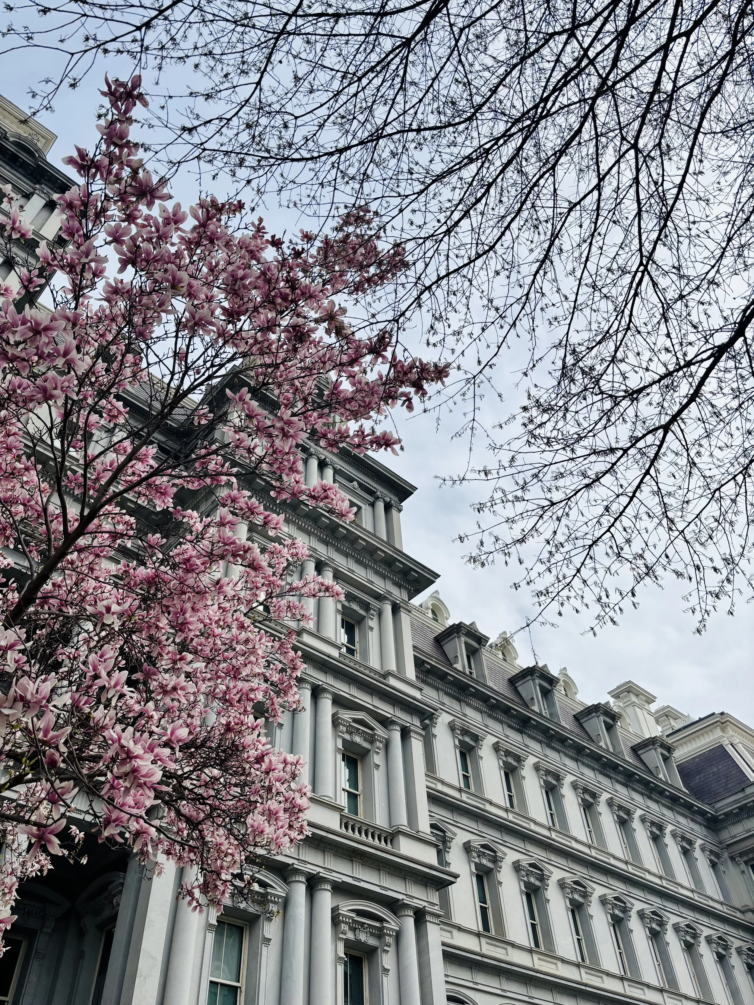 IMG_4640.jpg