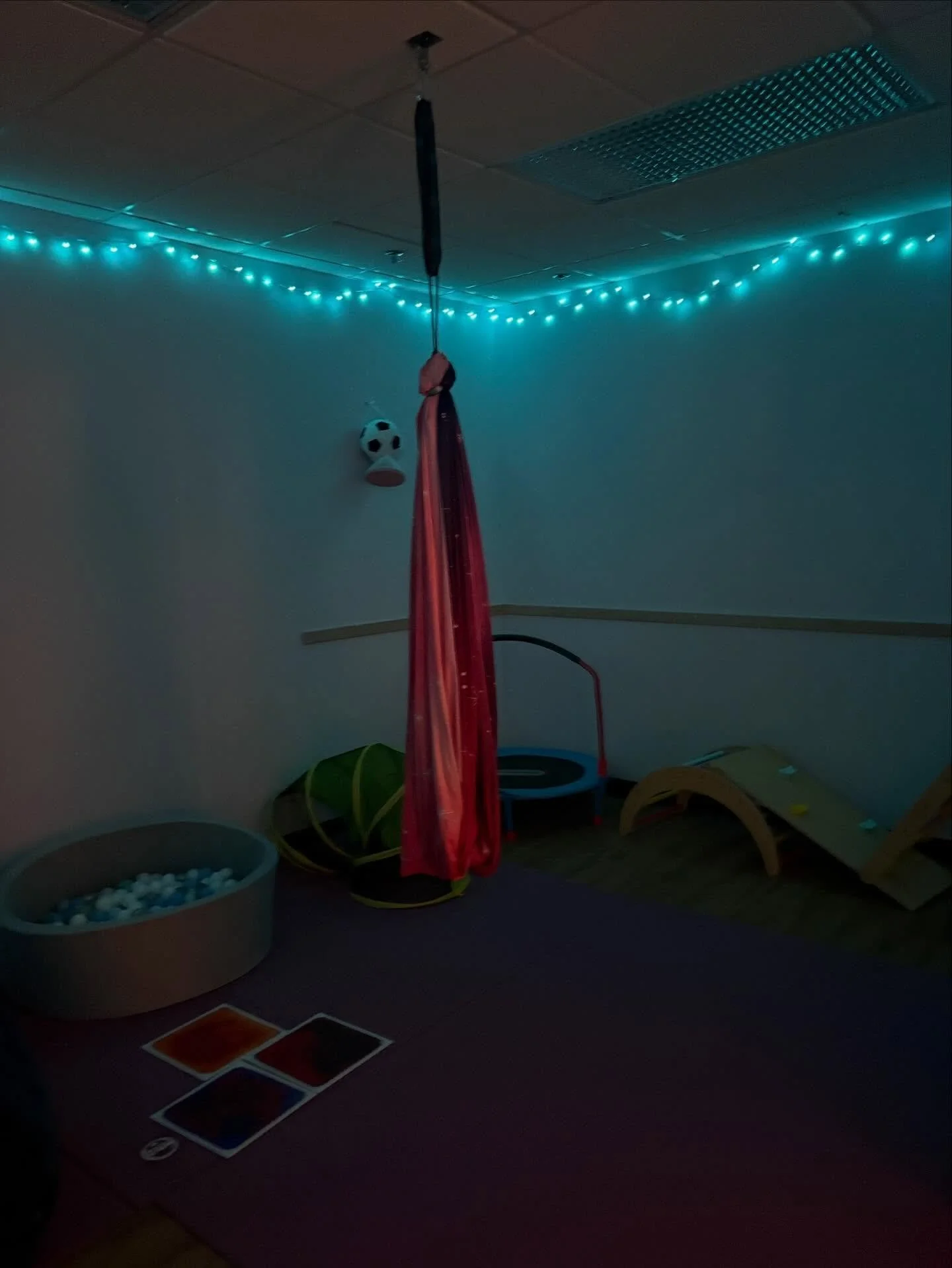 Not all therapy happens on the couch. You could be jumping into a ball pit or cocooning into the swing for a bit.

We&rsquo;ve got a second magical sensory space at Barrel House! Come hang (literally) with us. Check out internamentalhealth.com to get
