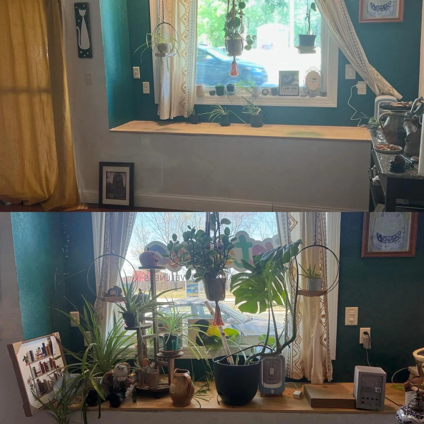 Sometimes I miss the beginning of Interna when I was riding solo and seeing clients mon-fri in my cozy storefront.  I have a nice window and the week before I saw my first clients I  rescued some plants( a rubber plant, monstera, aloe plant and spide