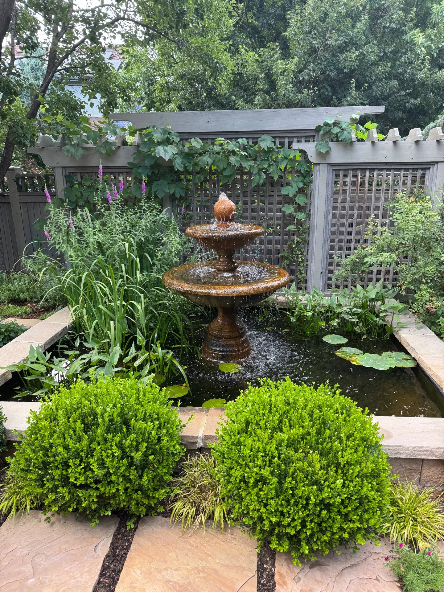 Water-Feature-1.jpg