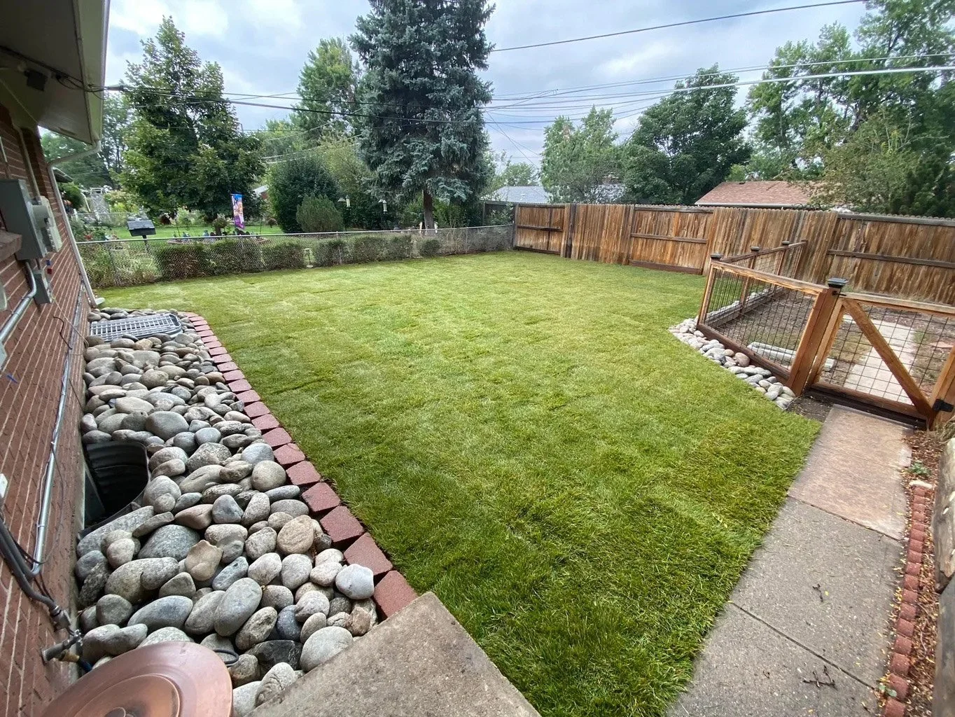 Sod-Installation-1.jpg