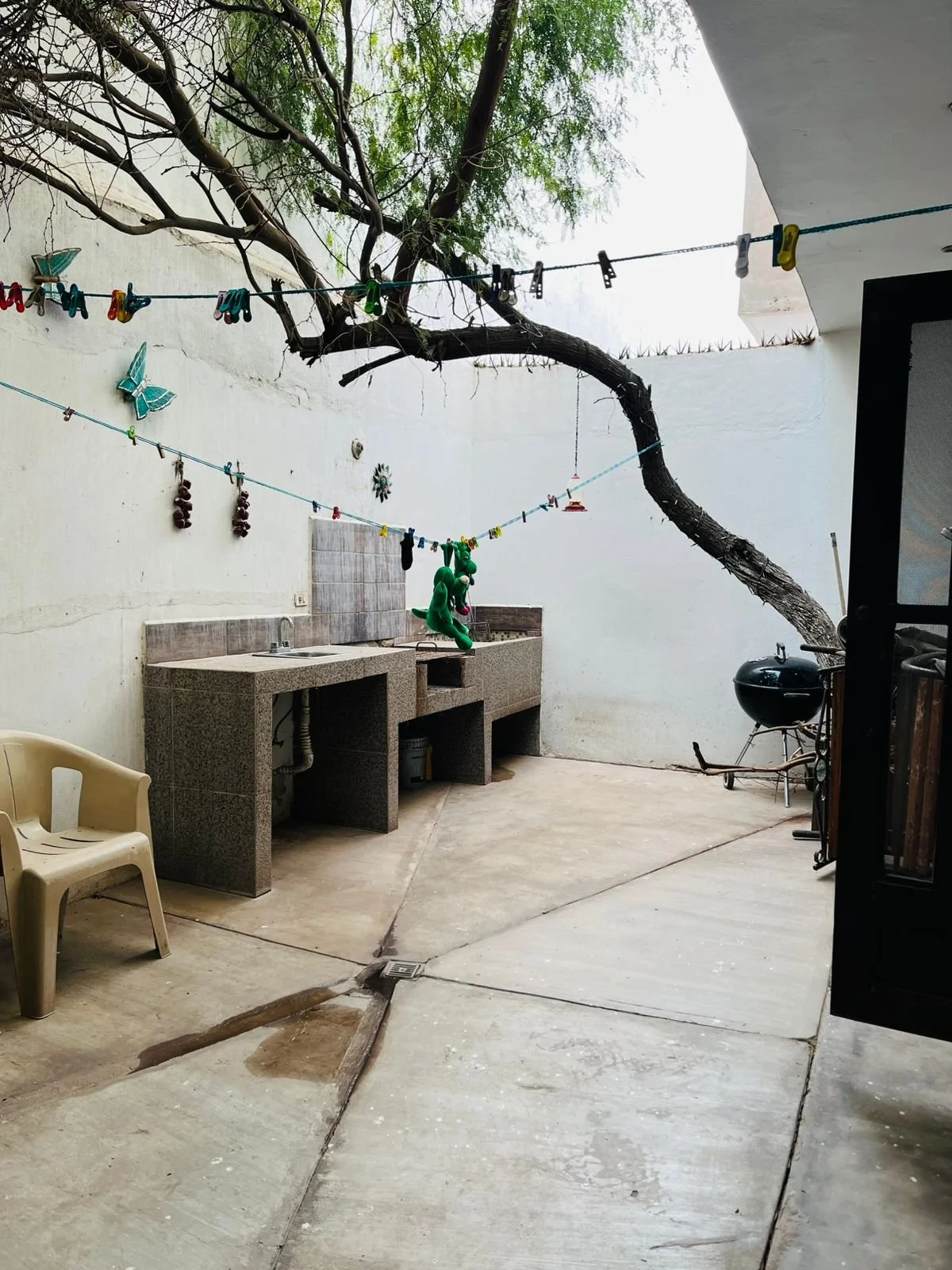 WhatsApp Image 2025-09-25 at 10.18.07 AM (3).jpeg