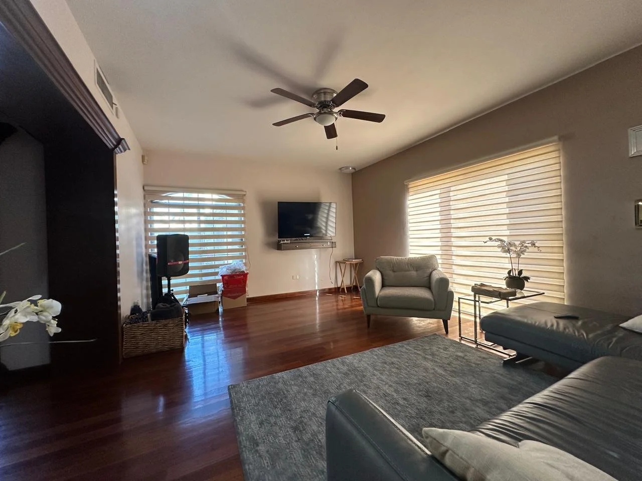 WhatsApp Image 2024-10-28 at 10.57.41 AM (8).jpeg