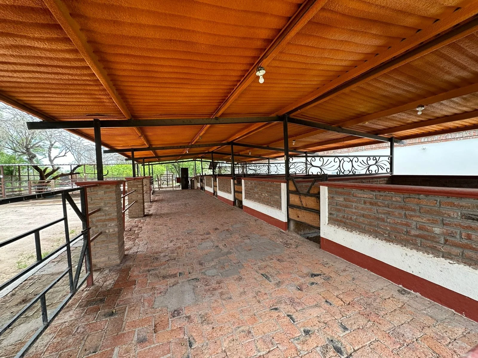 WhatsApp Image 2024-09-09 at 9.43.36 AM.jpeg