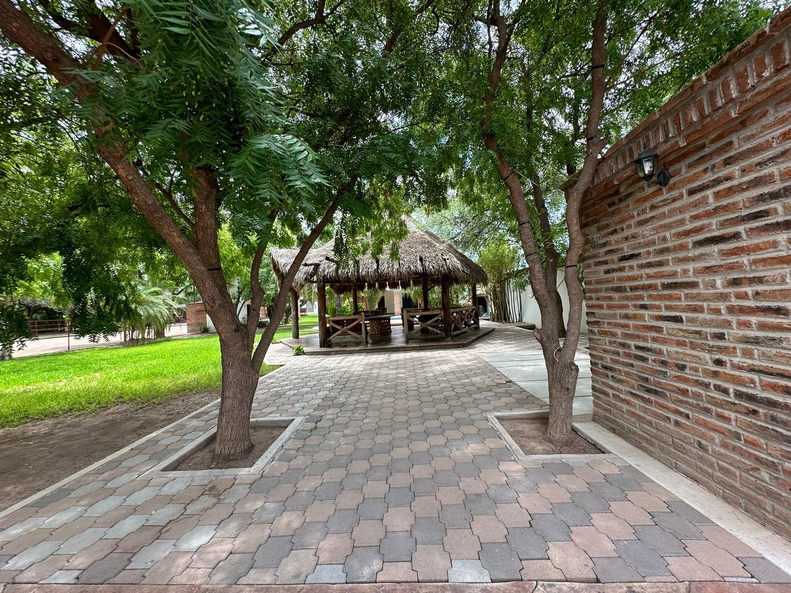 WhatsApp Image 2024-09-09 at 9.43.46 AM (2).jpeg