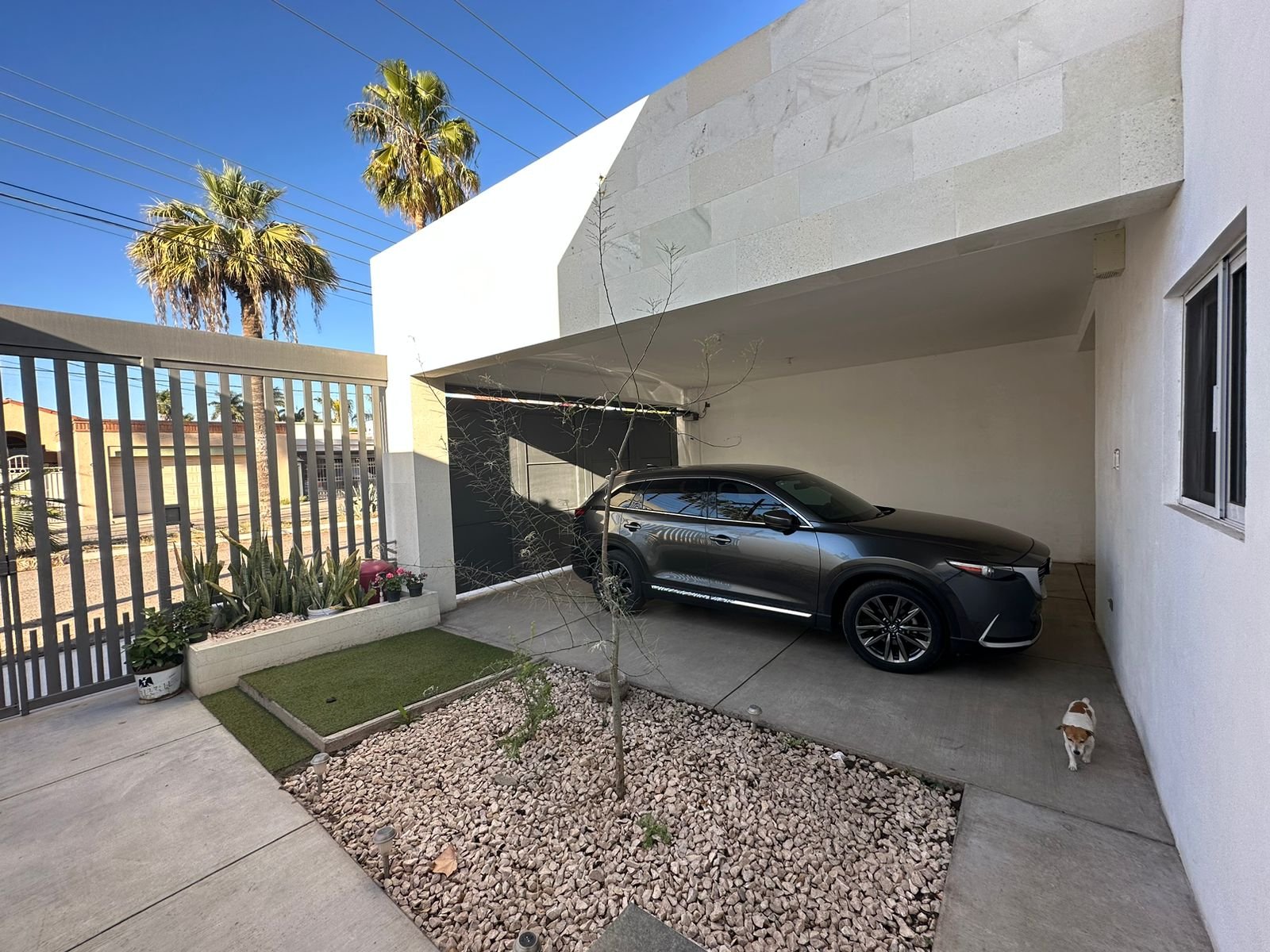 WhatsApp Image 2024-09-30 at 9.28.10 AM (1).jpeg