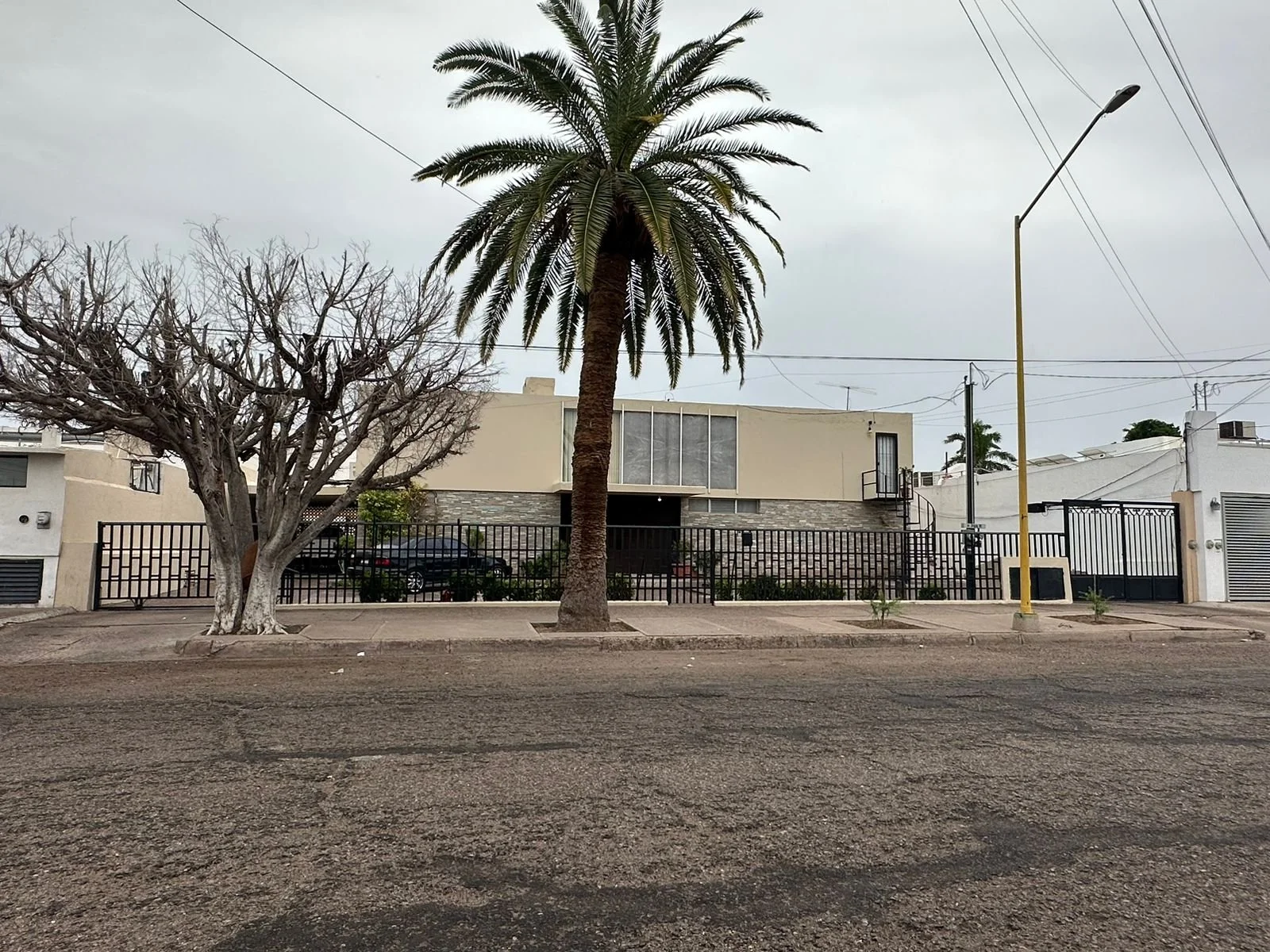 WhatsApp Image 2024-11-04 at 4.24.01 PM (1).jpeg