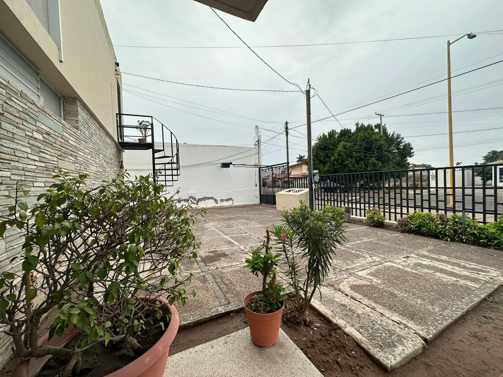 WhatsApp Image 2024-11-04 at 4.24.01 PM (2).jpeg