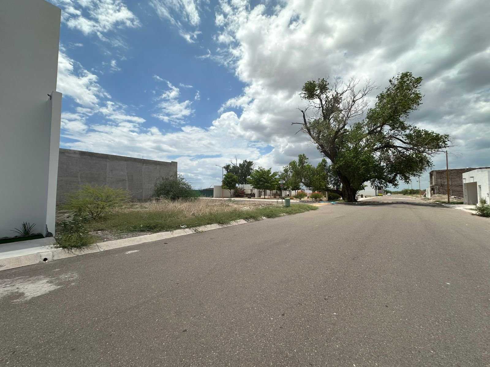 WhatsApp Image 2025-07-21 at 6.09.42 PM (4).jpeg