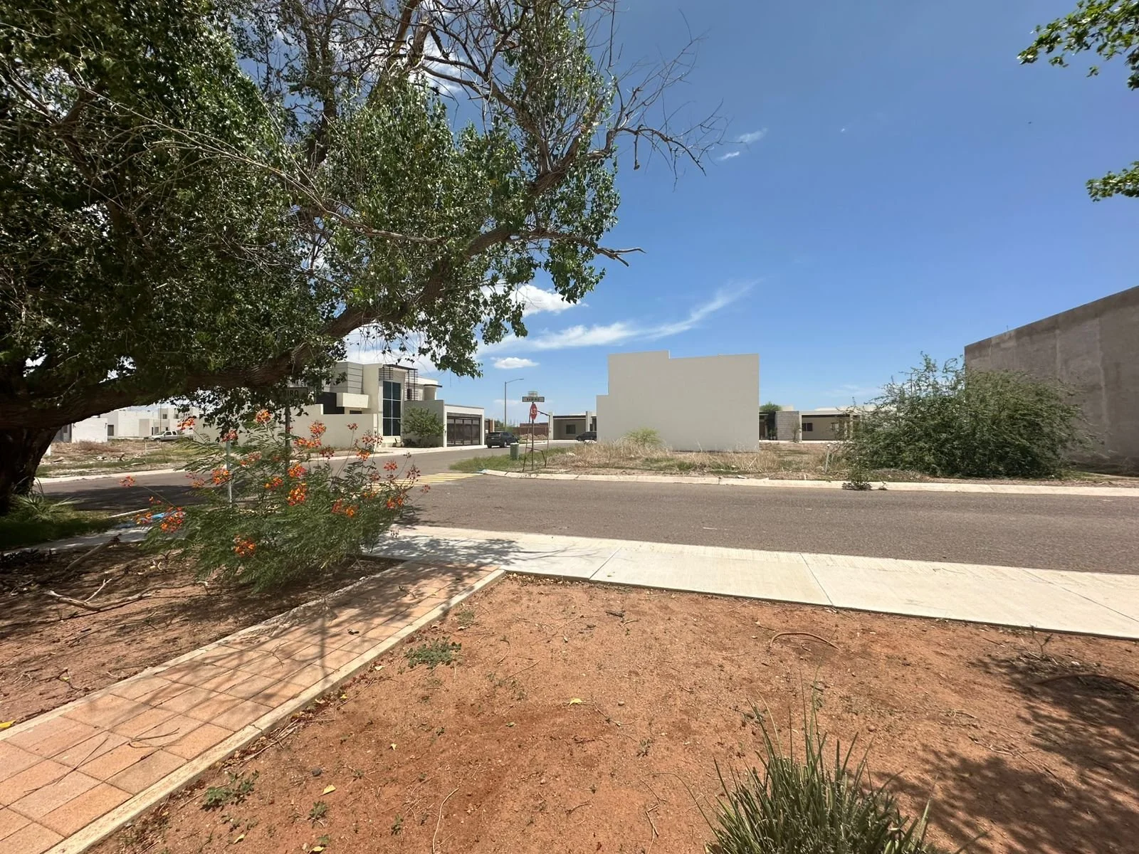 WhatsApp Image 2025-07-21 at 6.09.42 PM.jpeg