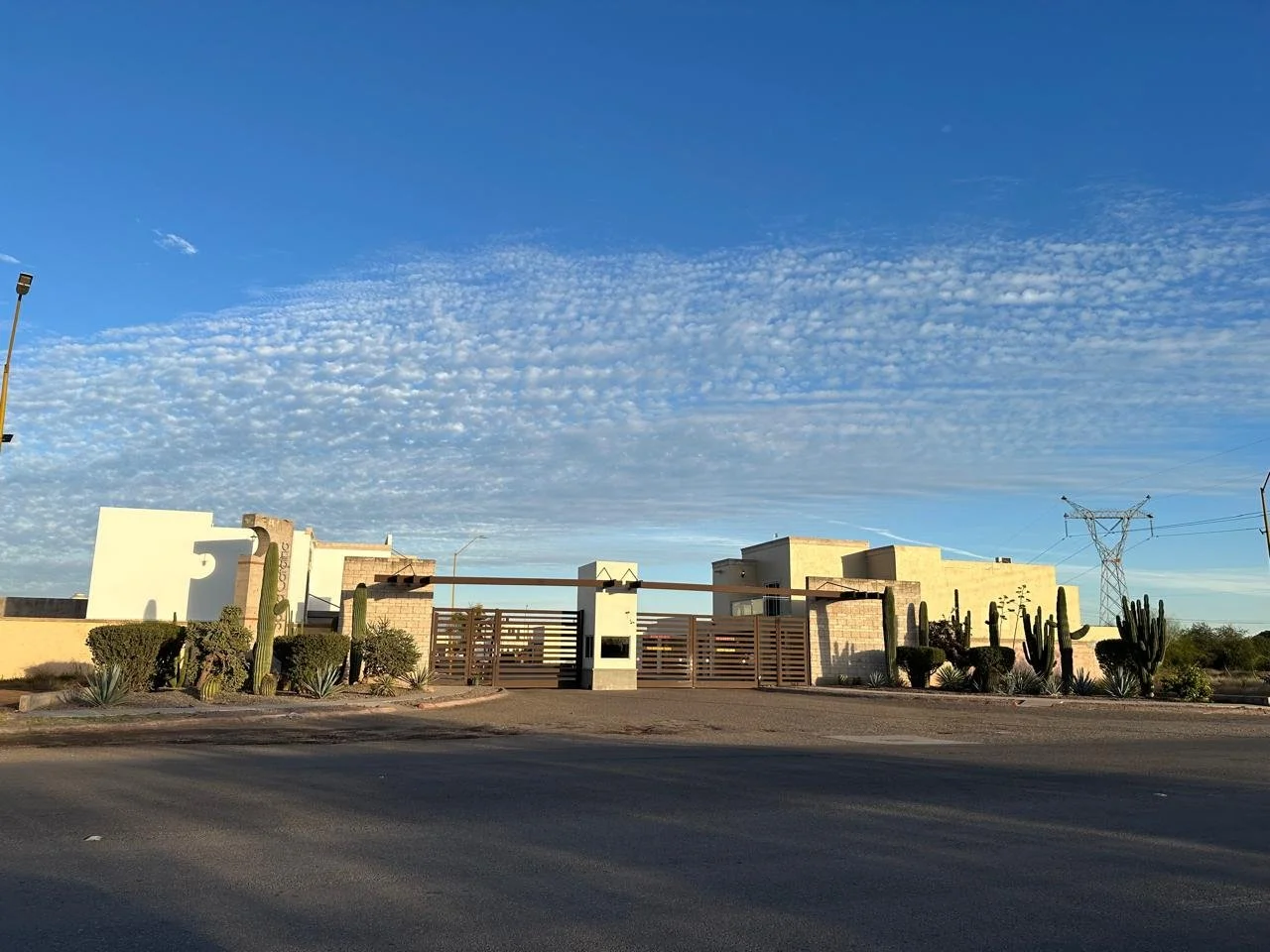 WhatsApp Image 2025-03-18 at 1.28.49 PM.jpeg