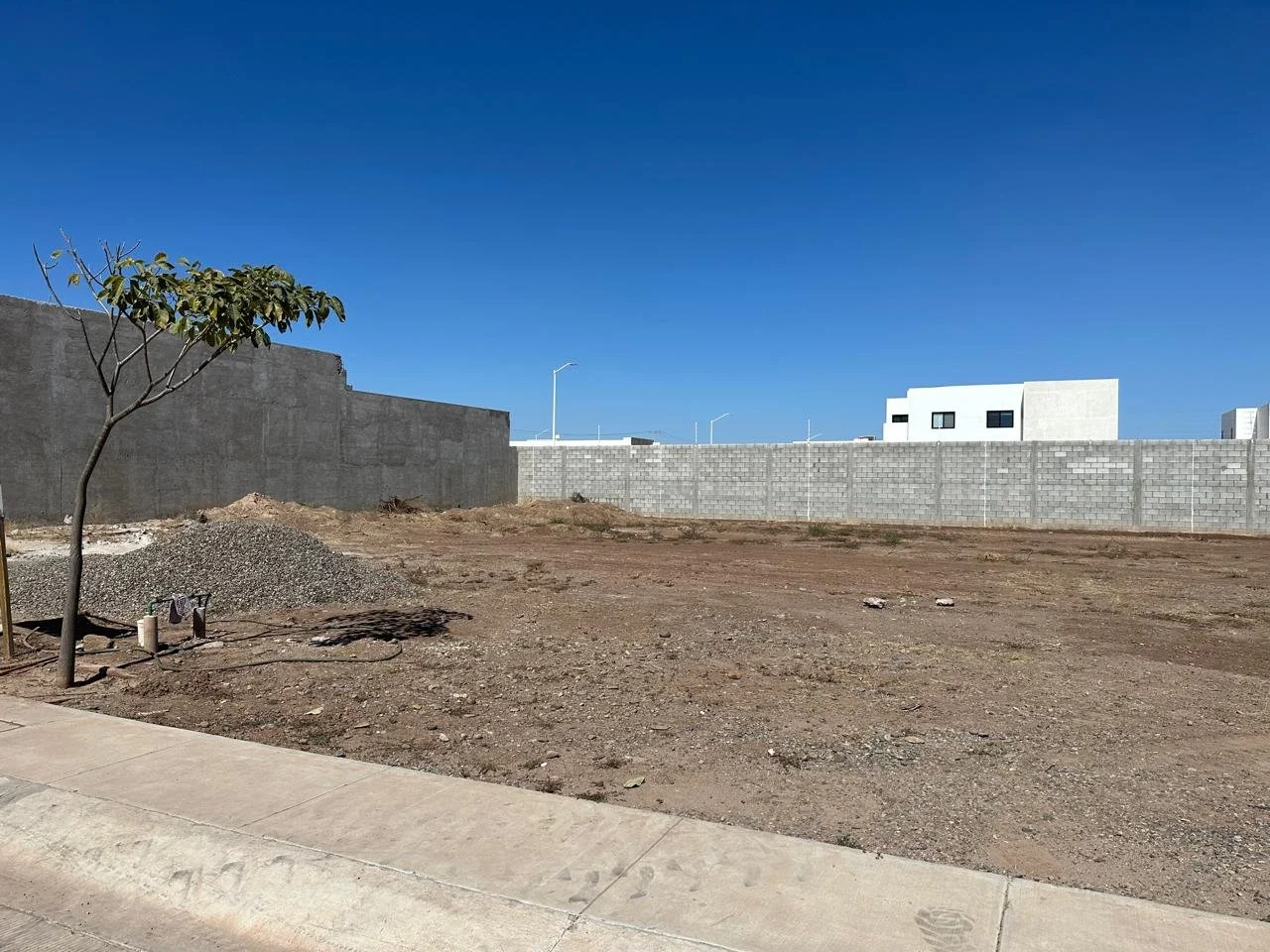 WhatsApp Image 2024-11-14 at 10.20.52 AM.jpeg