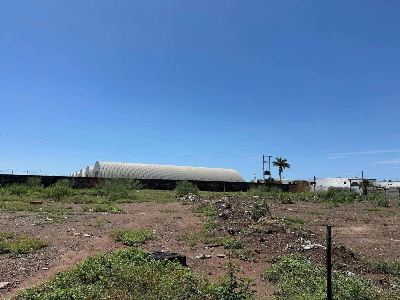 WhatsApp Image 2025-08-28 at 12.51.12 PM.jpeg