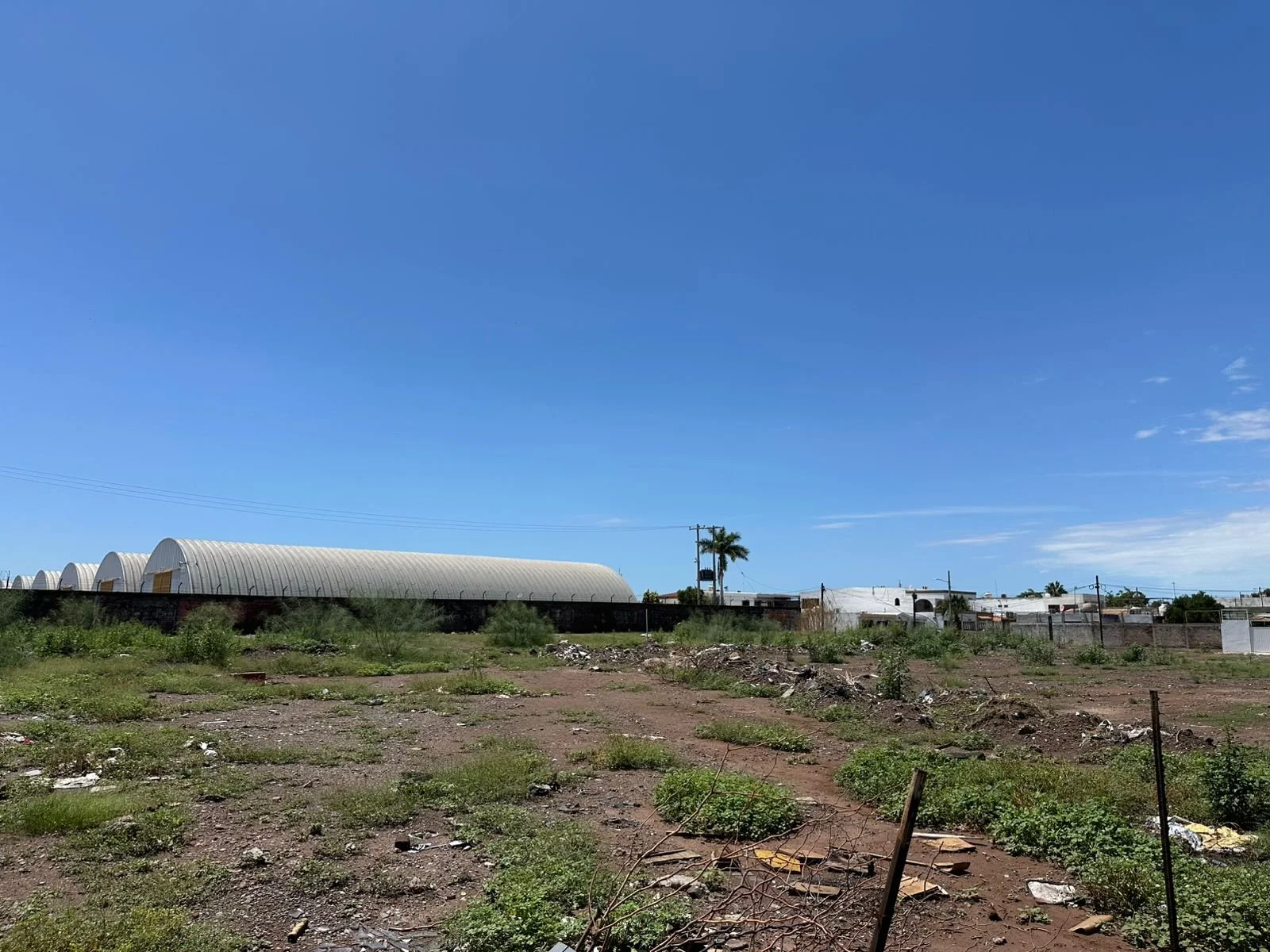 WhatsApp Image 2025-08-28 at 12.51.13 PM.jpeg