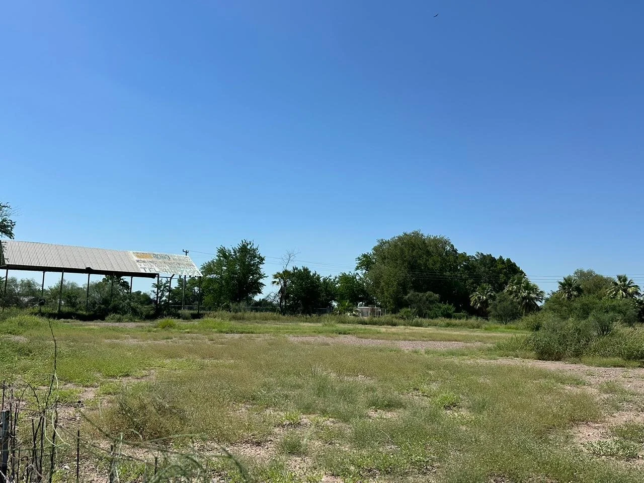 WhatsApp Image 2025-10-20 at 4.41.05 PM (1).jpeg